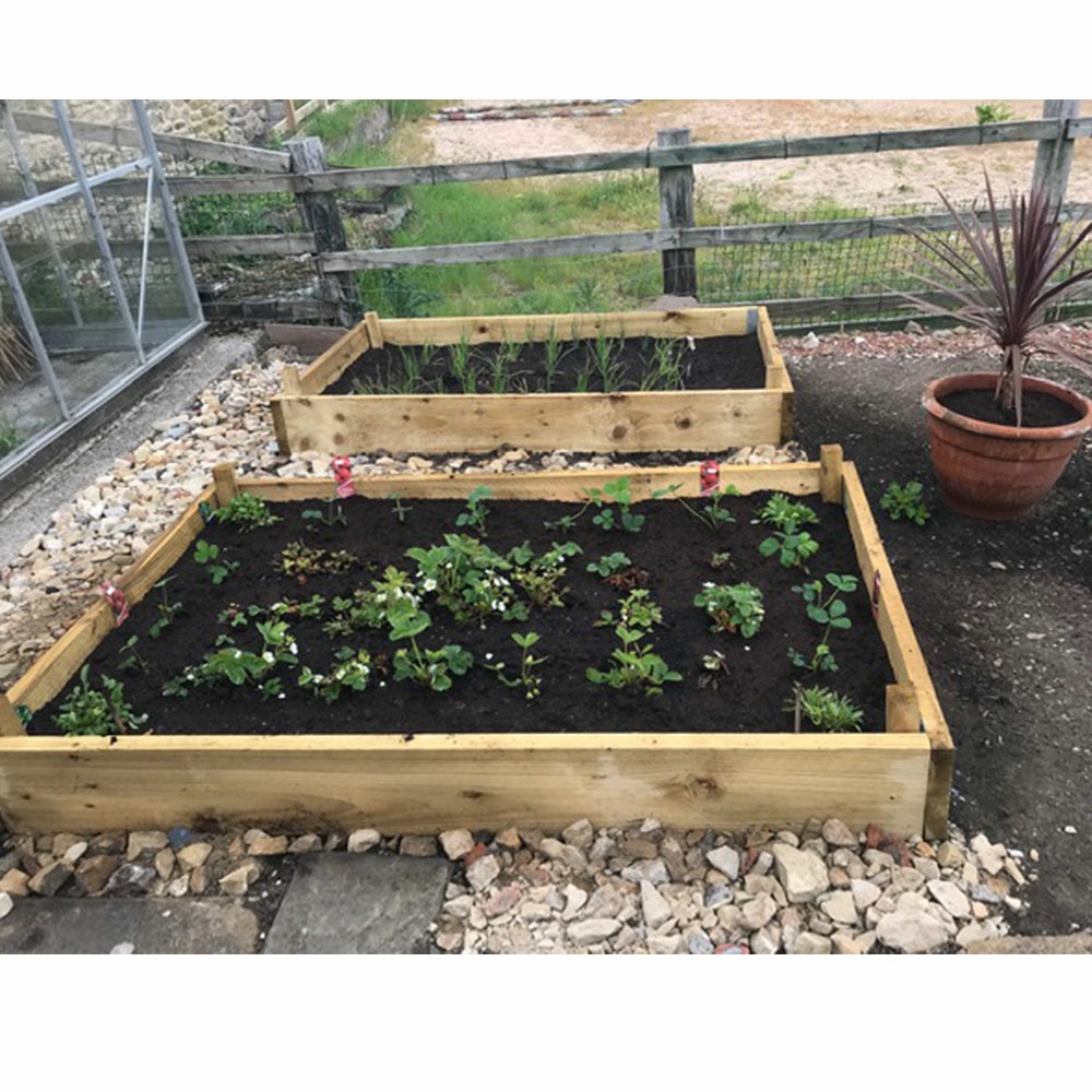 Narrow Raised Garden Beds Tanalised 1.2m (4ft) x 2.4m (8ft)